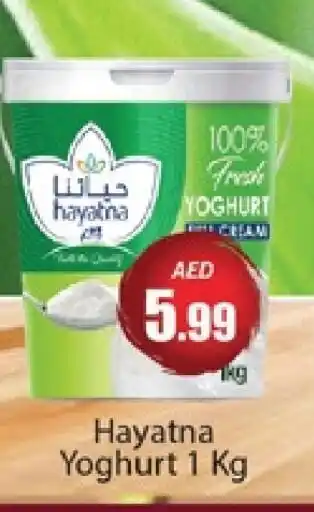 Al Madina HAYATNA Yoghurt offer