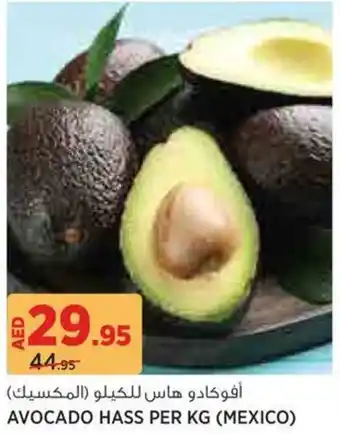 Aswaaq Avocado Hass offer