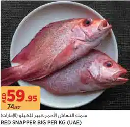 Aswaaq Red Snapper Big offer