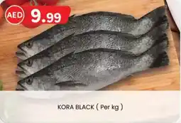 KM Trading Kora black offer