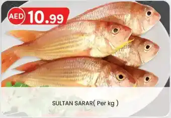 KM Trading Sultan sarar offer