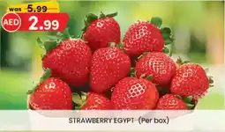 KM Trading Strawberry Egypt offer