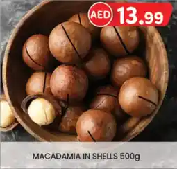 KM Trading Macadamia in shells offer