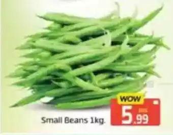 Al Madina Small Beans offer