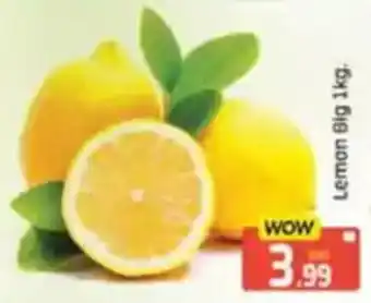 Al Madina Lemon Big offer