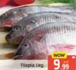 Al Madina Tilapia offer