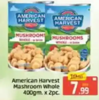 Al Madina American harvest mashroom whole offer