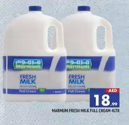 Al Madina MARMUM Fresh Milk offer