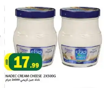 Rawabi Market NADEC Cream Cheese offer