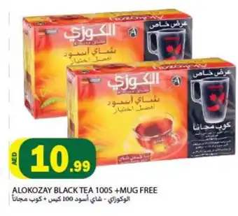 Rawabi Market ALOKOZAY Tea Bags offer