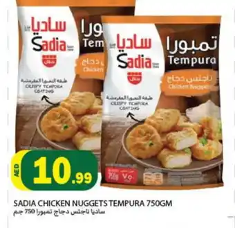 Rawabi Market SADIA Chicken Nuggets offer