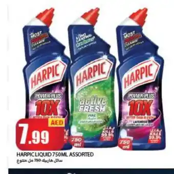 Rawabi Market HARPIC Toilet / Drain Cleaner offer