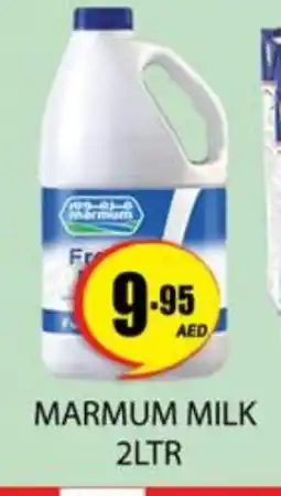 Zain Hypermarket MARMUM Fresh Milk offer