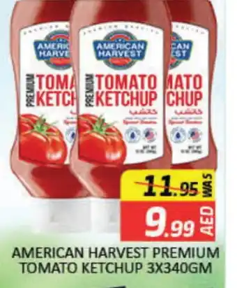 Mango Hypermarket LLC AMERICAN HARVEST Tomato Ketchup offer