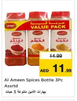 Nesto AL AMEEN Spices / Masala offer