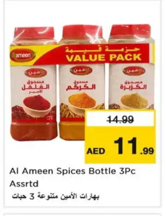 Nesto AL AMEEN Spices / Masala offer