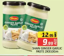 Mango Hypermarket LLC SHAN Garlic Paste offer