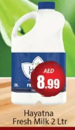 Al Madina HAYATNA Fresh Milk offer