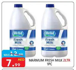 United Hypermarket MARMUM Full Cream Milk offer