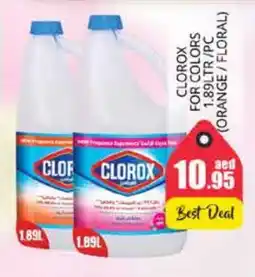 Pasons CLOROX Bleach offer