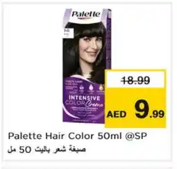 Nesto PALETTE Hair Colour offer