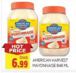 Al Madina AMERICAN CLASSIC Mayonnaise offer