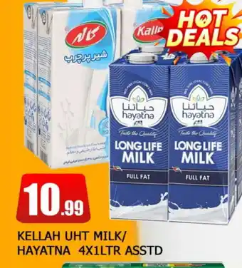 Al Madina HAYATNA Long Life / UHT Milk offer