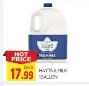 Al Madina HAYATNA Fresh Milk offer