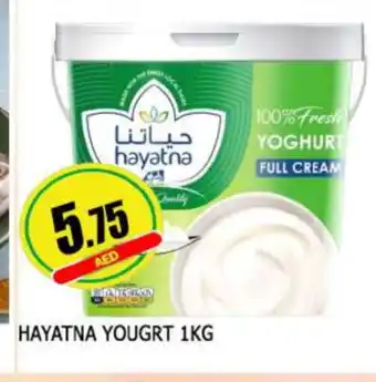 Al Madina HAYATNA Yoghurt offer