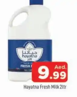 Al Madina HAYATNA Fresh Milk offer