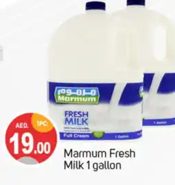 Talal Market MARMUM Fresh Milk offer