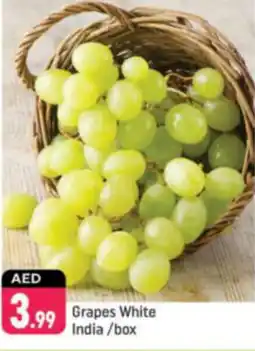 Shaklan Grapes White India offer