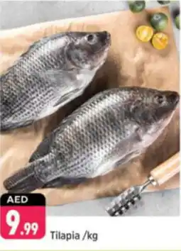 Shaklan Tilapia offer