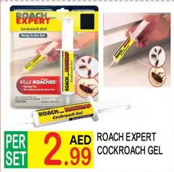 Dream Land Center Roach expert cockroach gel offer