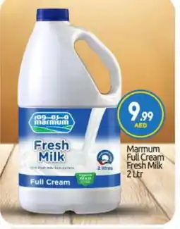 Bigmart MARMUM Fresh Milk offer