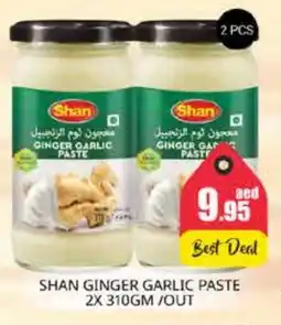 Pasons SHAN Garlic Paste offer