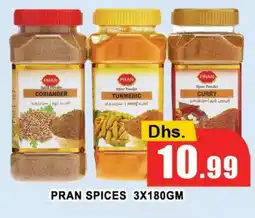 Al Madina PRAN Spices / Masala offer