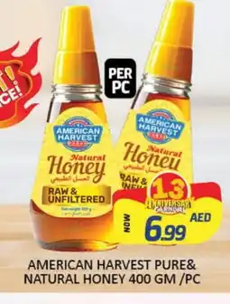 Al Madina AMERICAN HARVEST Honey offer