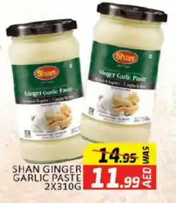 Al Madina SHAN Garlic Paste offer