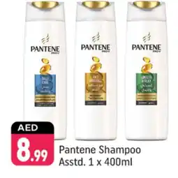 Shaklan PANTENE Shampoo / Conditioner offer