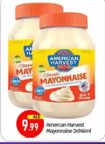 Bigmart AMERICAN HARVEST Mayonnaise offer