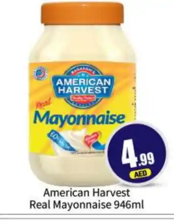 Bigmart AMERICAN HARVEST Mayonnaise offer