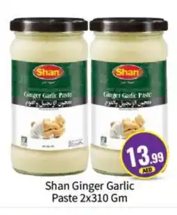 Bigmart SHAN Garlic Paste offer