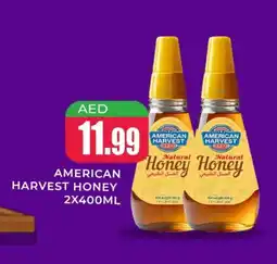 Meena Al Madina Hypermarket AMERICAN HARVEST Honey offer