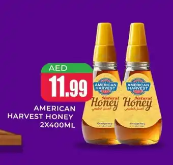 Meena Al Madina Hypermarket AMERICAN HARVEST Honey offer