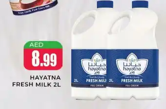 Meena Al Madina Hypermarket HAYATNA Fresh Milk offer