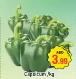 Al Madina Capsicum offer