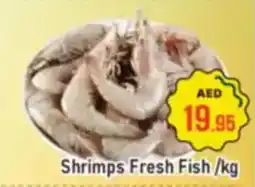 Al Madina Shrimps Fresh Fish offer