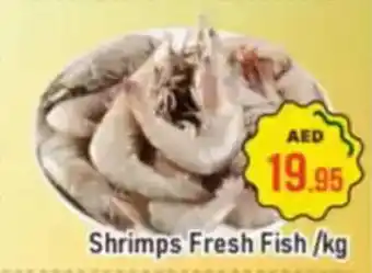 Al Madina Shrimps Fresh Fish offer