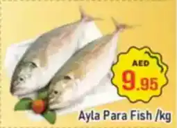 Al Madina Ayla Para Fish offer